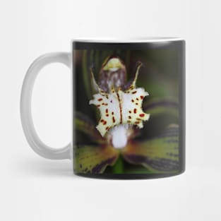 Orchid in Macro Mug